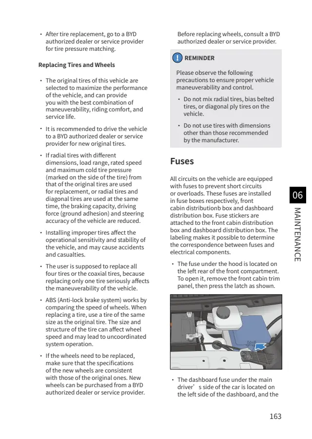 Fuse information on page 164 of the 2025 BYD Dolphin Surf manual
