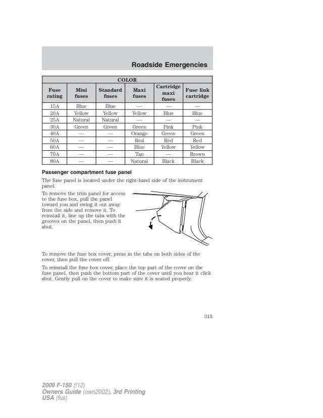 Fuse information on page 315 of the 2009 Ford F-150 manual