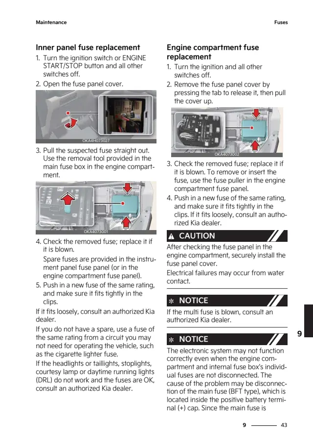 Fuse information on page 555 of the 2025 Kia Carnival Hybrid manual