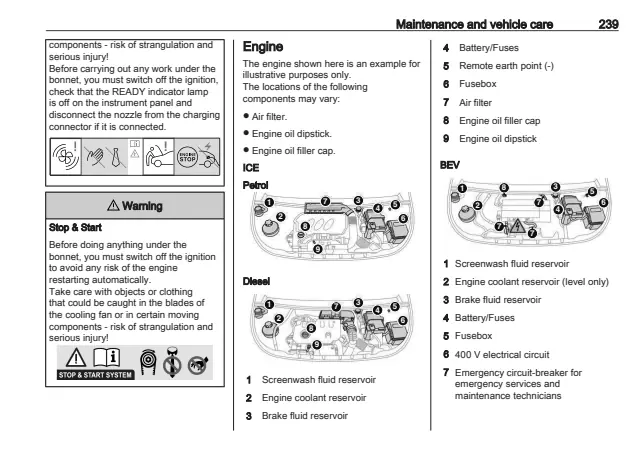 Fuse information on page 241 of the 2025 Opel Combo manual