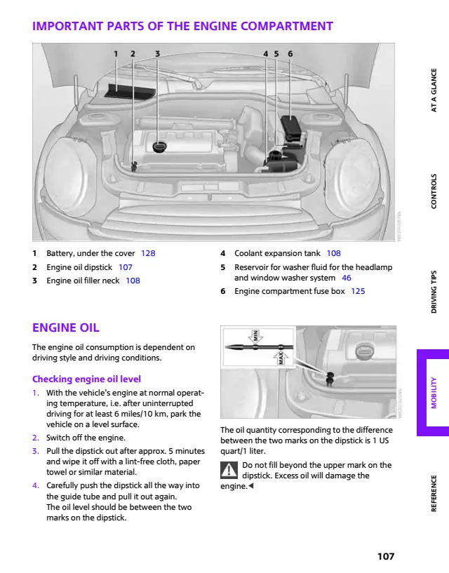 Fuse information on page 109 of the 2008 MINI Cooper manual