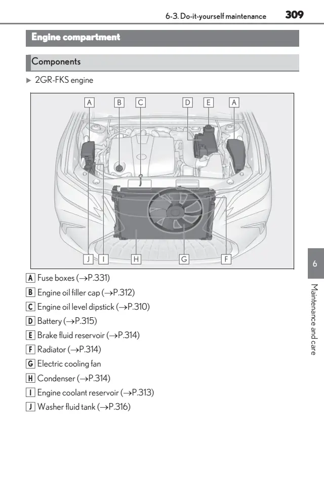 Fuse information on page 311 of the 2025 Lexus ES350 manual